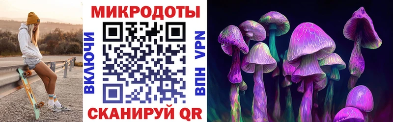 даркнет сайт  Лениногорск  Галлюциногенные грибы Psilocybine cubensis 