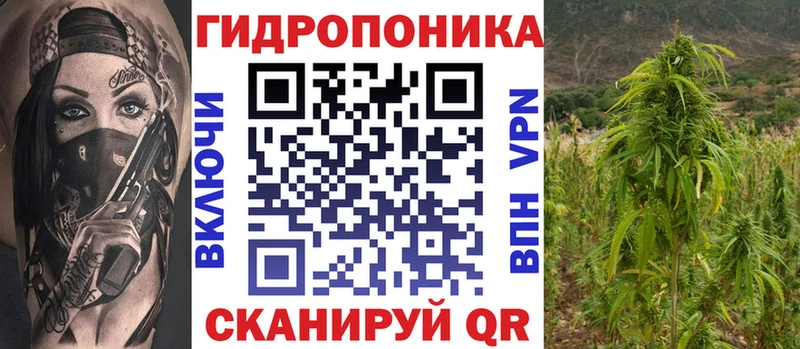наркошоп Лениногорск Шишки марихуана MAZAR